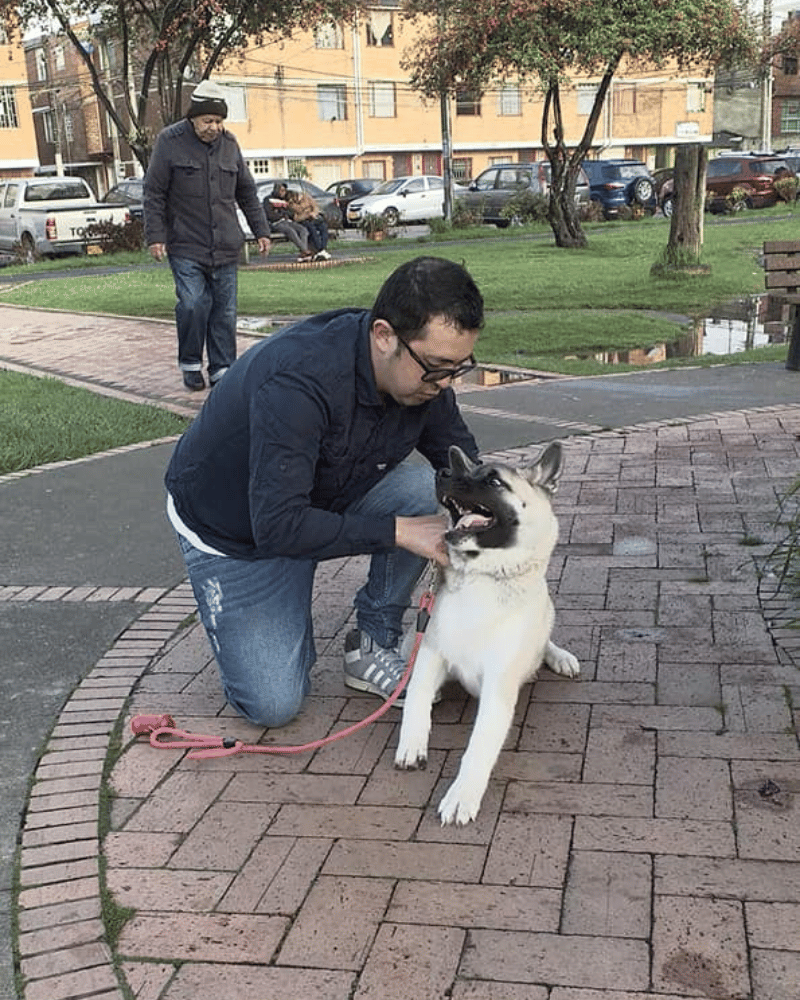 Galería KANINOS TRAINING COLOMBIA